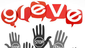 greve-1